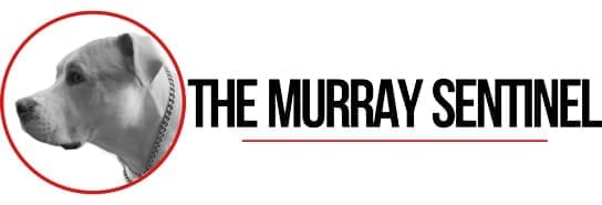 The Murray Sentinel The Murray Sentinel. Proudly serving as Calloway County\'s watchdog since 2023.