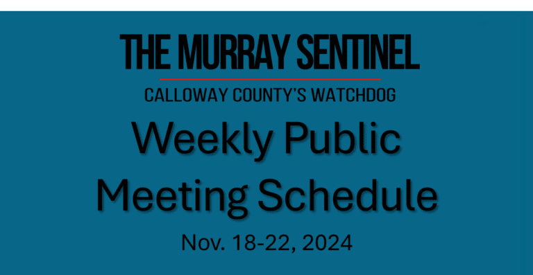 Weekly Public Meeting Schedule (Nov. 18-22)