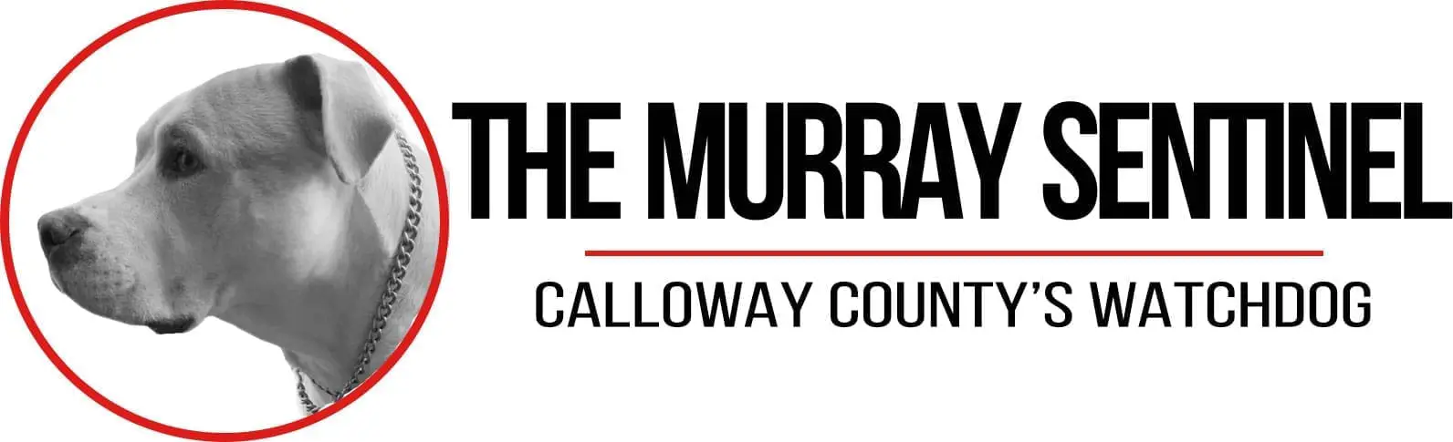 The Murray Sentinel logo with Brody